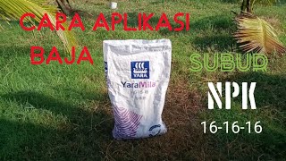 Cara Aplikasi Baja NPK 16-16-16 Pada Pohon Kelapa | Application Of NPK Fertilizer On Coconut Trees