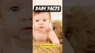 Baby facts7#facts #amazingfacts #factsshorts #babyshorts #baby #babyfacts @littletwittle