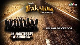 Un Par de Cerdos - La Trakalosa de Monterrey (Audio Oficial)