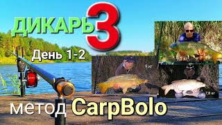 ДИКАРЬ 3. День 1-2. Метод CarpBolo - ловим на болонскую удочку!