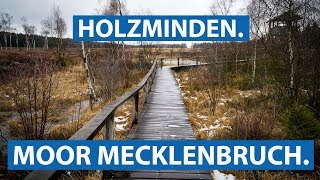 Das Hochmoor Mecklenbruch im Weserbergland | checkpott.clip