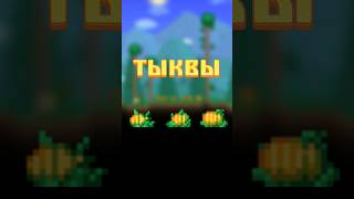 ДЛЯ ЧЕГО НУЖНЫ ТЫКВЫ В TERRARIA!!! #terraria #террария #guide #гайд #ивент #хэллоуин #тыквы