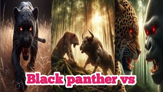 black panther vs! amazing animals formed by combining different species#shorts#hybrids#blackpanther#