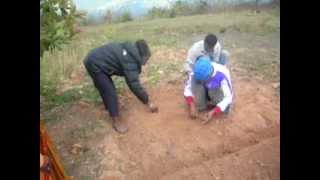 Kali Baba and Binod planting seeds in Mahankhal, Nepal