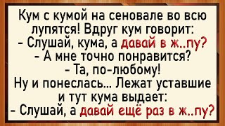 Как куме понравилось туда! Сборник свежих анекдотов! Юмор!