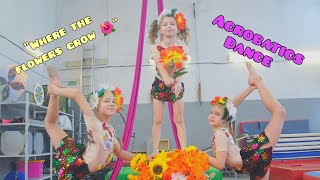 Debut (rehearsal). Trio Acrobatics (children). Acrobatic dance - "Where the flowers grow."