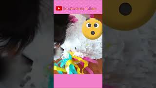 NO Destruyas la PIÑATA INCORRECTA 2