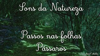 Túnel de Árvores | Som de passos nas folhas secas  e Pássaros | Para Acalmar Relaxar e Dormir