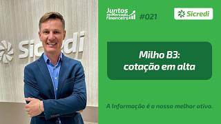 Milho B3: cotação em alta | Juntos no Mercado Financeiro 021