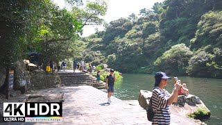 Cheonjiyeon Falls, Seogwipo's number one tourist attraction walking tour | Jeju Island, Korea 4K HDR