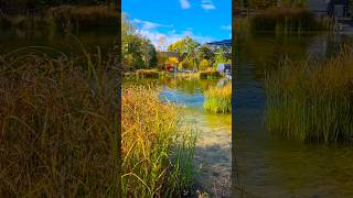 Herbst (Autumn) im Technorama Oberwinterthur Switzerland🇨🇭#switzerland #technorama #oberwinterthur