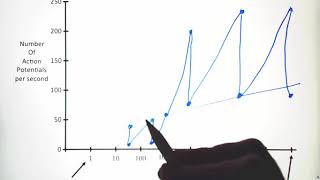 Sensory Physiology: Sensitivity and Range