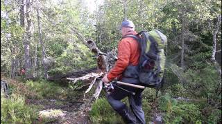 Med fiskestang i gammelskogen