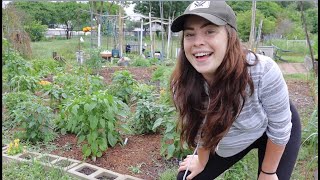 April 2021 Garden Tour // Central Texas Zone 8b // Week 17 Vlog