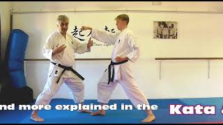 Jion Bunkai Strategies 2024 week 21 koryu karate oyo jutsu