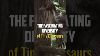 THE FASCINATING DIVERSITY OF TINY DINOSAURS  #didiyouknow  #dinosaur #jurassicworld #dinosaurshort