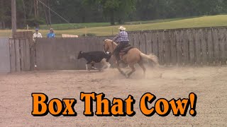 Box that cow!