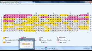 How to predict secondary structure of a protein using PSIPRED (Tutorial)