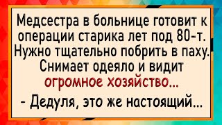 Медсестра и дедуля с огромным хозяйством! Анекдоты! Юмор