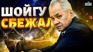 Шойгу СБЕЖАЛ! Клан оленевода обложили со всех сторон. Путин готовит УБИЙСТВО Кужугетовича