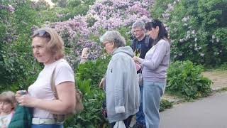 Прогулка по ботаническому саду.