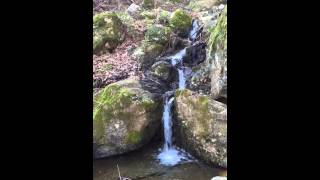 Mountain stream nature sounds, relax