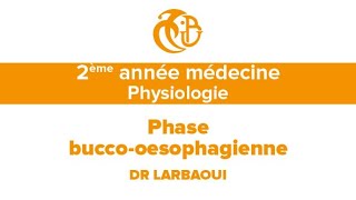 2eme année médecine, Physiologie, Phase bucco œsophagienne