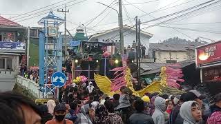 RAFANDA AUDIO juga tampil mening dengan box cobre brewog di karnaval tosari pasuruan