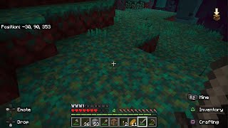 Minecraft Episode 45