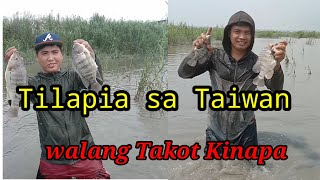 Paano Hinuhuli ang Tilapia sa Taiwan | Gamit ang Kamay Part 2