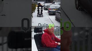 Quingos in the Snow short