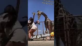 😂😂 OMG!!! I CANT BELIEVE WHAT THAT GIRAFFE JUST DID 😂😂 TOO FUNNY #shorts #short #youtubeshorts