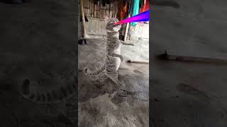 cat 😺 funny # dance 😂 viral # video 😍 trending # short 🙏