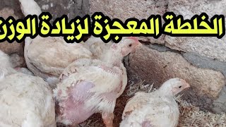 الخلطة المعجزة للتسمين وزيادة وزن الفراخ ورافع مناعه ومنشط حيوي...