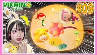 【ピクミン4】大ピンチ！！ナゾのぷよぷよ生物に飲み込まれた🤢💦たまとピクミンの大冒険パート9🥕【PIKMIN 4】【たまちゃん】