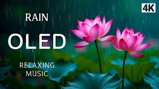 Piano Relaxing Music With Rain OLED Demo 4k HDR  - Sleeping Music