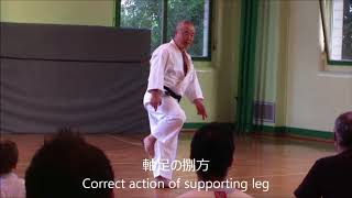 Principle of Sokuto Geri - Shorinji Kempo (足刀蹴りの基本)