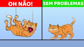 Por que os gatos sempre caem de pé (e 9 outros poderes legais de gatos explicados)