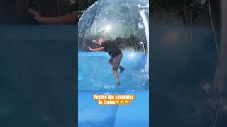 How it feels like a hamster in 5 minutes #funny #experience in #waterball #fyp #shorts