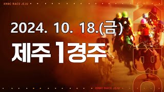 (제주) 2024.10.18 1경주