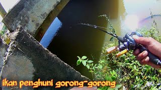 mancing ikan hampala di gorong-gorong pinggir jalan