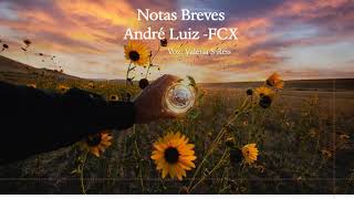 Notas Breves - André Luiz - Francisco C Xavier