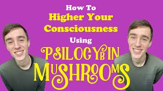 How To Higher Your Consciousness Using Magic Mushrooms?