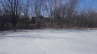 Frozen Suburban Wetland