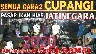 PASAR IKAN HIAS JATINEGARA/FULL IKAN CUPANG jam 10 sudah ramai