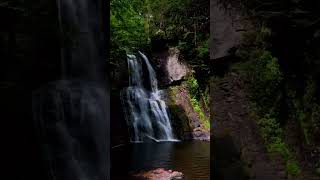 Bushkill falls #shorts #waterfall