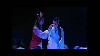 Chinese Dance Drama 中国舞蹈舞剧||红楼梦（三）|||【舞剧】《红楼梦》（领舞：山翀、武巍峰、袁琳等）