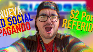 Priandori: La NUEVA Red Social que PAGA 😱 Parte 1