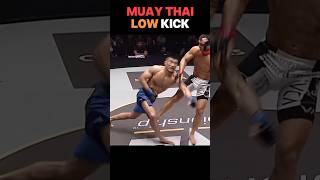 Muay Thai: low kick #muaythai #thaiboxing #kickboxing