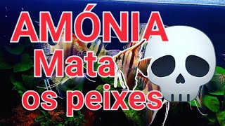 #VLOG AMÓNIA PODE MATAR OS NOSSOS  PEIXES...